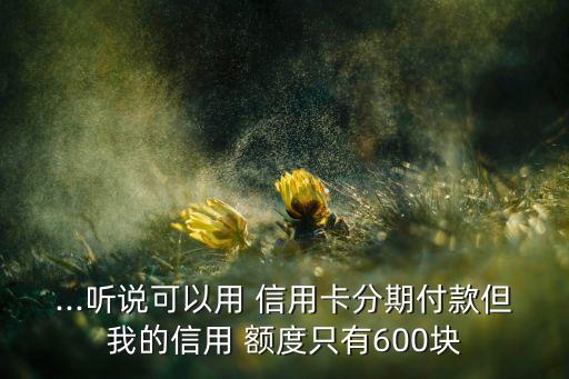 收苹果信用卡额度多少合适,苹果分期信用卡额度有没有要求