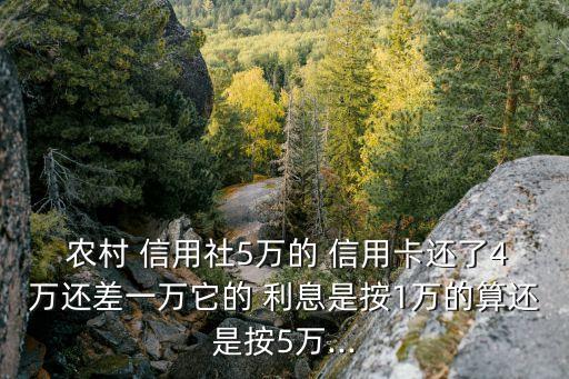  农村 信用社5万的 信用卡还了4万还差一万它的 利息是按1万的算还是按5万...